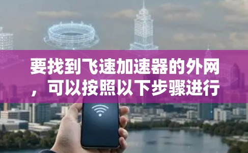 要找到飞速加速器的外网,可以按照以下步骤进行