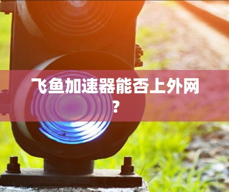 飞鱼加速器能否上外网? 飞鱼加速器能否上外网?