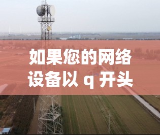 如果您的网络设备以 q 开头,并且您需要外网加速器来解决网速过慢的问题,可能存在以下几种情况
