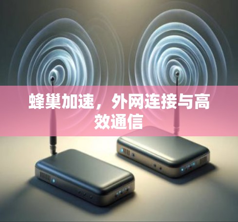 蜂巢加速,外网连接与高效通信