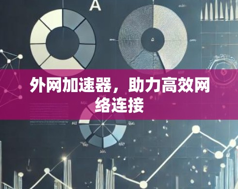 外网加速器,助力高效网络连接 外网加速器,助力高效网络连接