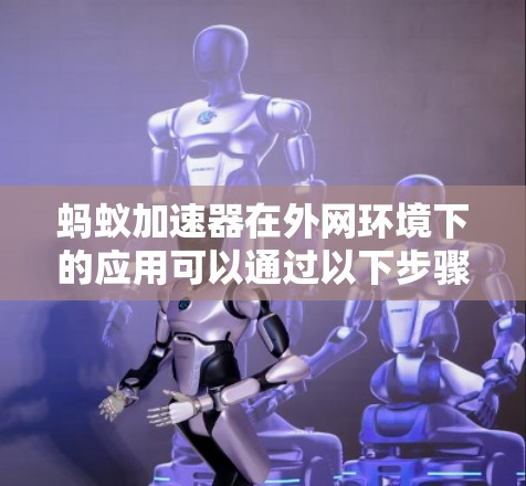 蚂蚁加速器在外网环境下的应用可以通过以下步骤进行