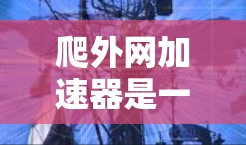 爬外网加速器是一种网络工具，用于抓取网站资源，包括下载、爬取和抓取下载等。它分为几种类型，如下载抓取器、爬取下载器和抓取下载器，每个类型有其特点和功能。以下是对爬外网加速器的详细分析