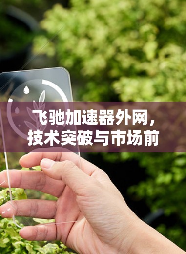 飞驰加速器外网，技术突破与市场前景解析