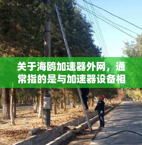 关于海鸥加速器外网，通常指的是与加速器设备相关的外网系统或控制面板。以下是一些可能涉及的内容