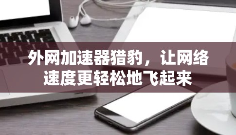 外网加速器猎豹，让网络速度更轻松地飞起来