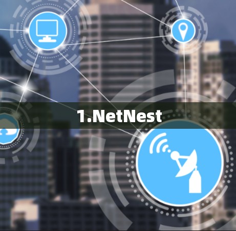 1.NetNest 1.NetNest