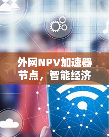 外网NPV加速器节点,智能经济决策的未来机遇 外网NPV加速器节点,智能经济决策的未来机遇