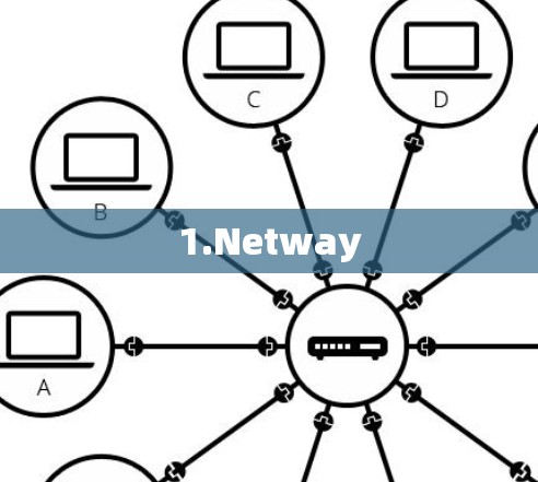 1.Netway 1.Netway