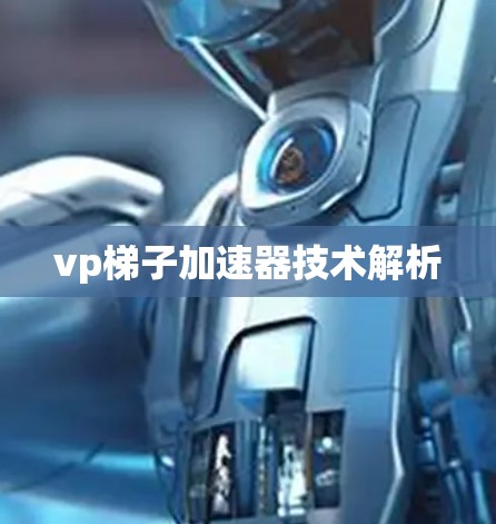 vp梯子加速器技术解析 vp梯子加速器技术解析