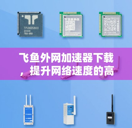 飞鱼外网加速器下载,提升网络速度的高效选择 飞鱼外网加速器下载,提升网络速度的高效选择