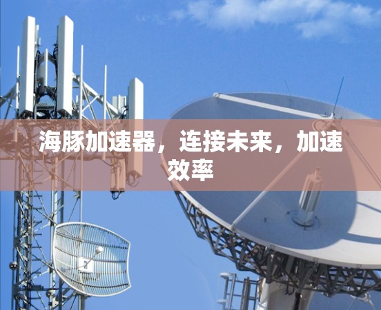海豚加速器,连接未来,加速效率 海豚加速器,连接未来,加速效率