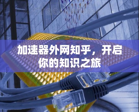 加速器外网知乎，开启你的知识之旅