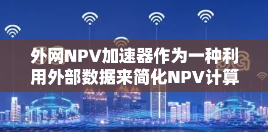 外网NPV加速器作为一种利用外部数据来简化NPV计算的方法，虽然在一定程度上提高了效率，但也存在一些潜在的风险和问题。以下是对这一概念的详细分析