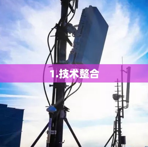 1.技术整合