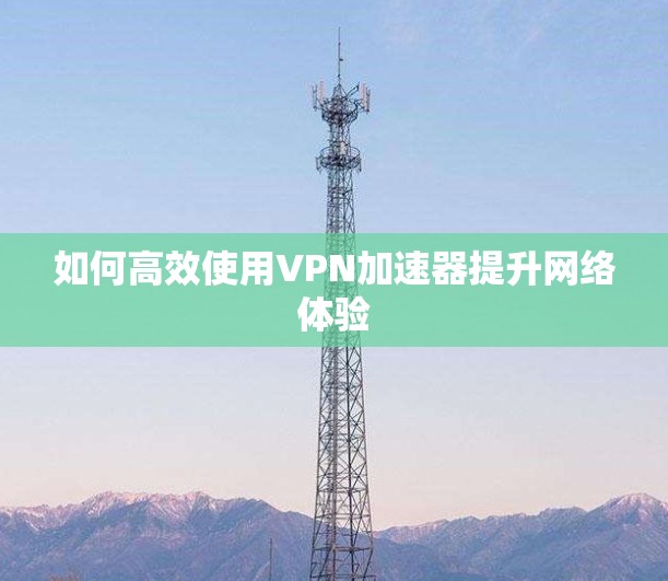 如何高效使用VPN加速器提升网络体验