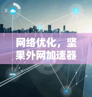 网络优化,坚果外网加速器破解技术解析 网络优化,坚果外网加速器破解技术解析