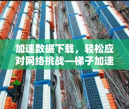 加速数据下载，轻松应对网络挑战—梯子加速器外网推荐