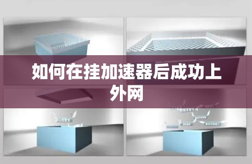 如何在挂加速器后成功上外网 如何在挂加速器后成功上外网