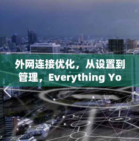 外网连接优化，从设置到管理，Everything You Need to Know