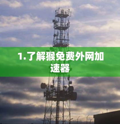 1.了解猴免费外网加速器