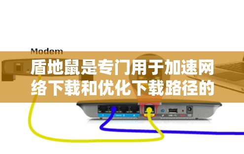 盾地鼠是专门用于加速网络下载和优化下载路径的工具，广泛应用于处理网速慢、缓存过多、超时时间过长等问题。以下是盾地鼠的主要功能和使用步骤的详细指南