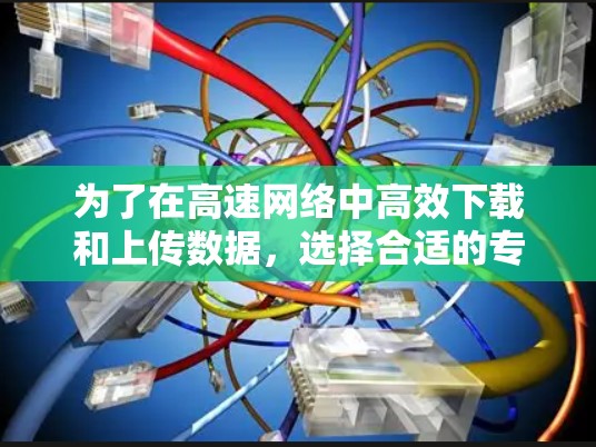 为了在高速网络中高效下载和上传数据，选择合适的专用外网加速器至关重要。以下是对专用外网加速器的详细分析和推荐