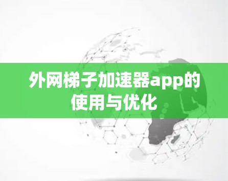 外网梯子加速器app的使用与优化 外网梯子加速器app的使用与优化
