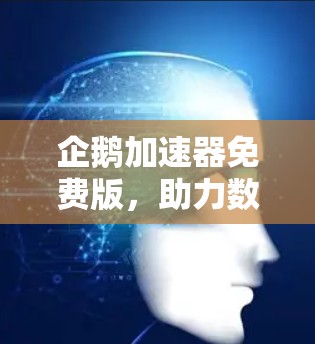 企鹅加速器免费版,助力数据流量管理的完美解决方案 企鹅加速器免费版,助力数据流量管理的完美解决方案