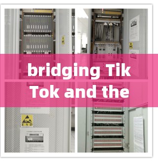 bridging TikTok and the Internet:The Ultimate Guide to tиtok专用外网加速器 bridging TikTok and the Internet:The Ultimate Guide to tиtok专用外网加速器