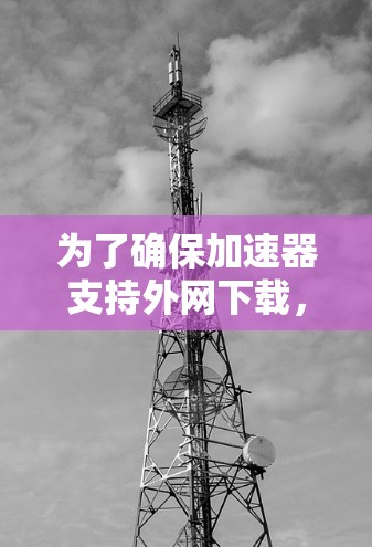 为了确保加速器支持外网下载，可以按照以下步骤操作