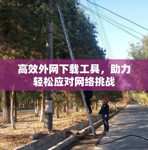高效外网下载工具，助力轻松应对网络挑战