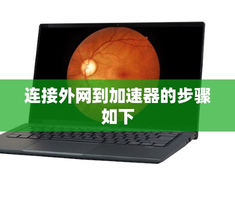 连接外网到加速器的步骤如下