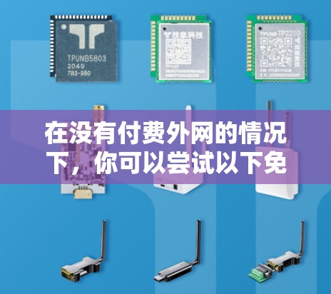 在没有付费外网的情况下，你可以尝试以下免费的网络服务，但请注意，这些服务可能需要付费使用，因此你仍然需要为使用它们付费