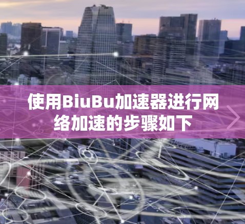 使用BiuBu加速器进行网络加速的步骤如下 使用BiuBu加速器进行网络加速的步骤如下
