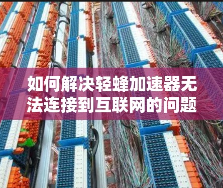 如何解决轻蜂加速器无法连接到互联网的问题? 如何解决轻蜂加速器无法连接到互联网的问题?