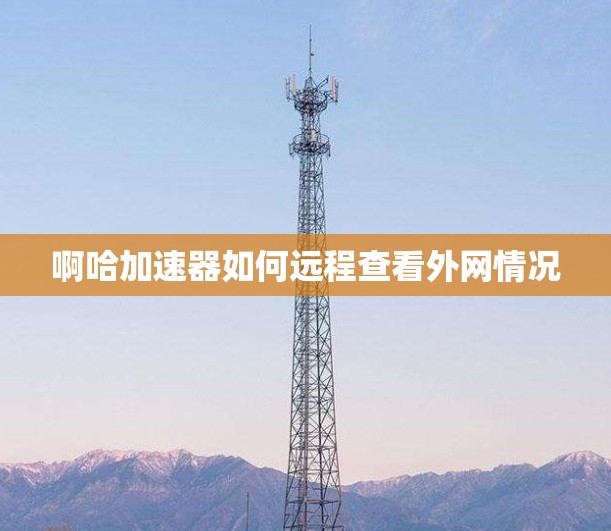 啊哈加速器如何远程查看外网情况 啊哈加速器如何远程查看外网情况