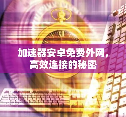 加速器安卓免费外网，高效连接的秘密