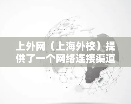 上外网（上海外校）提供了一个网络连接渠道，允许学生和用户连接到学校的服务器。以下是使用上外网进行游戏加速的具体步骤