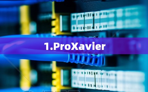 1.ProXavier 1.ProXavier