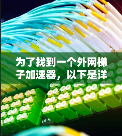 为了找到一个外网梯子加速器，以下是详细的建议和步骤