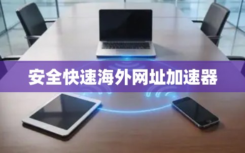 安全快速海外网址加速器 安全快速海外网址加速器