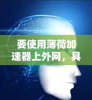 要使用薄荷加速器上外网，具体步骤可能因工具而异，以下是一些通用的步骤