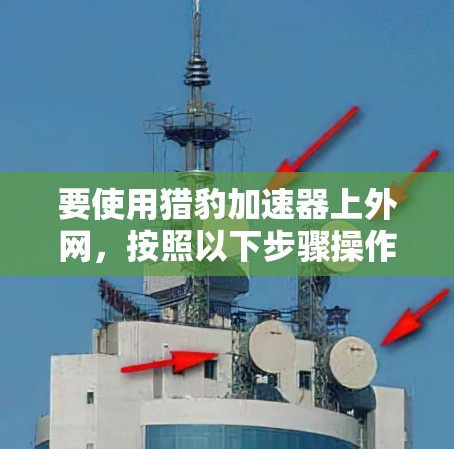 要使用猎豹加速器上外网，按照以下步骤操作