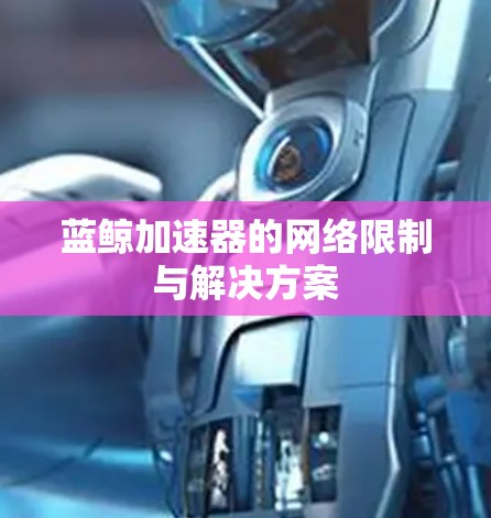 蓝鲸加速器的网络限制与解决方案 蓝鲸加速器的网络限制与解决方案