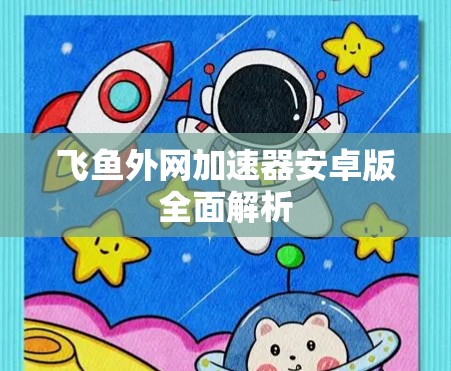 飞鱼外网加速器安卓版全面解析