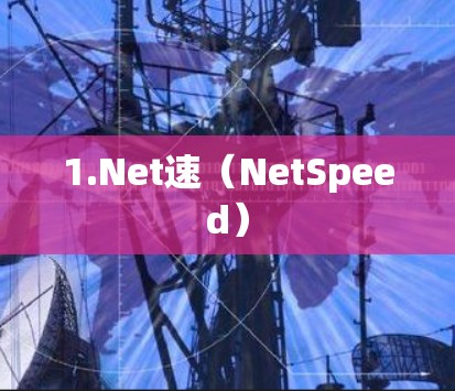 1.Net速(NetSpeed) 1.Net速(NetSpeed)