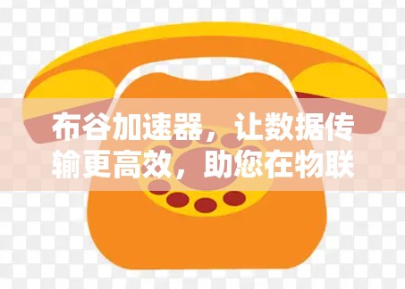 布谷加速器，让数据传输更高效，助您在物联网时代加速数据流！