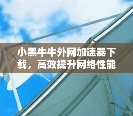 小黑牛牛外网加速器下载,高效提升网络性能的便捷工具 小黑牛牛外网加速器下载,高效提升网络性能的便捷工具