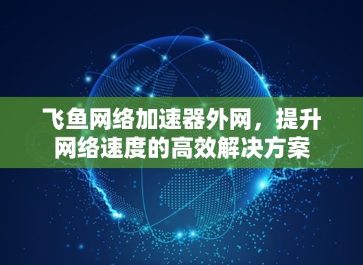飞鱼网络加速器外网，提升网络速度的高效解决方案